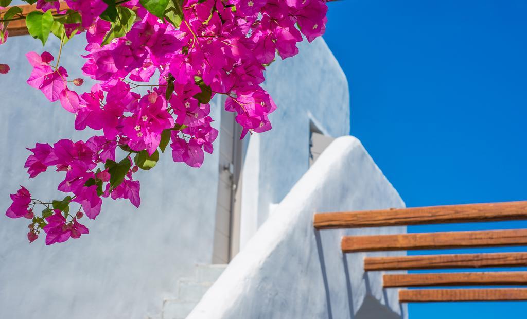 Delmar Apartments & Suites Milos - Delmar Collection ポロニア エクステリア 写真